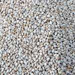 Ethiopian exports - sesame seeds