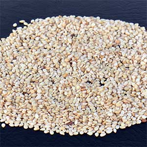 Ethiopian Wollega Sesame Seed