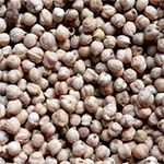 Ethiopian Desi Chickpeas