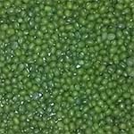 Ethiopian Green Mung Beans