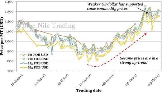 Ethiopian commodity market prices