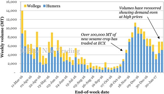 Ethiopian commodity export volumes