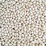 Ethiopian White Pea Beans