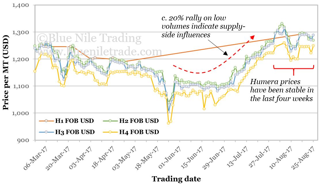 Six-month Humera FOB price trends