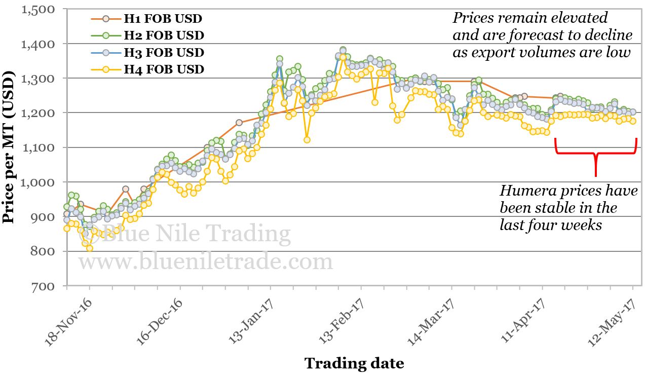 Six-month Humera FOB price trends