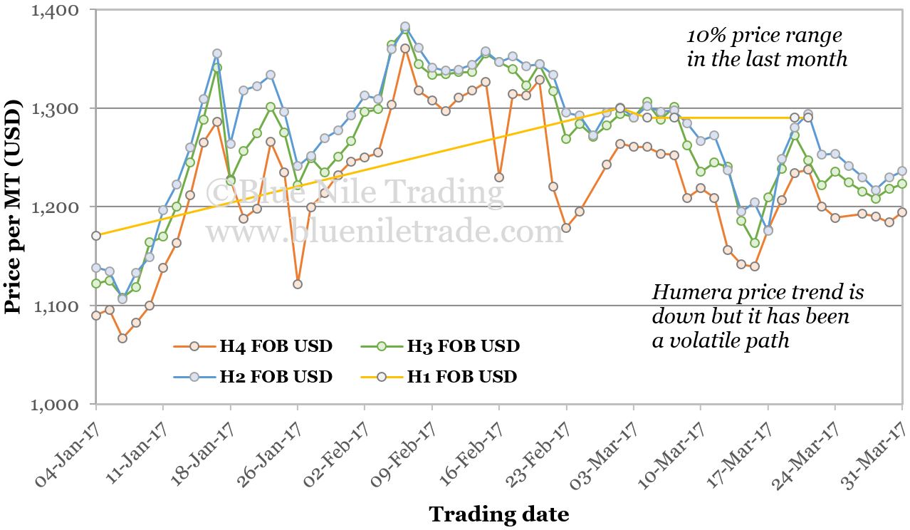 Three-month Humera FOB price trends