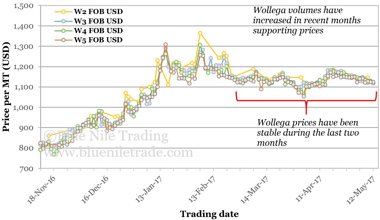 Six-month Wollega FOB price trends