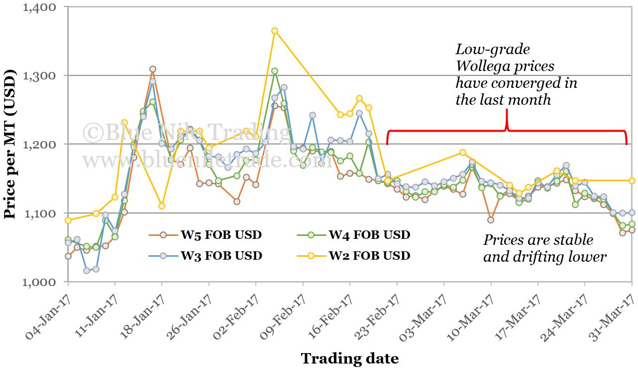 Three-month Wollega FOB price trends