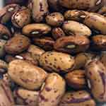 Ethiopian Light Speckled Beans