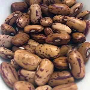 Ethiopian Light Speckled Beans