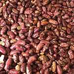 Ethiopian Red Speckled Beans