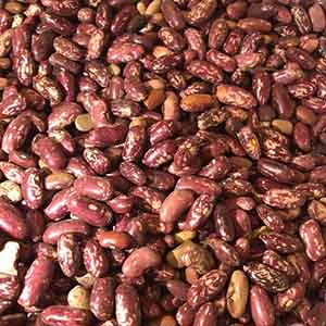 Ethiopian Red Speckled Beans