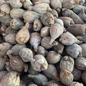 Ethiopian Black Cardamom