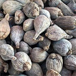 Ethiopian Black Cardamom