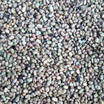Ethiopian Fava Beans