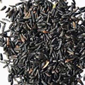 Ethiopian niger seeds